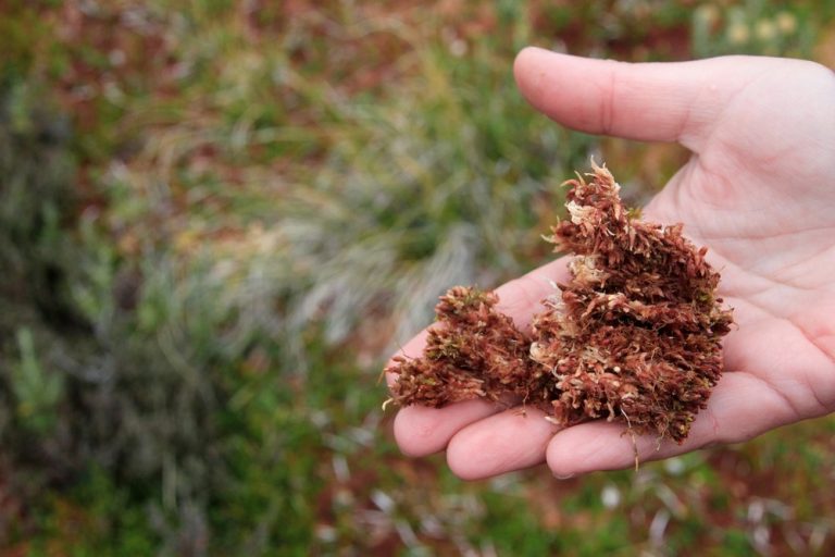 How to Use a Composting Toilet the Right Way Tiny Spaces Living